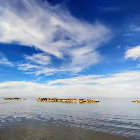 Joy - Iconic Heritage