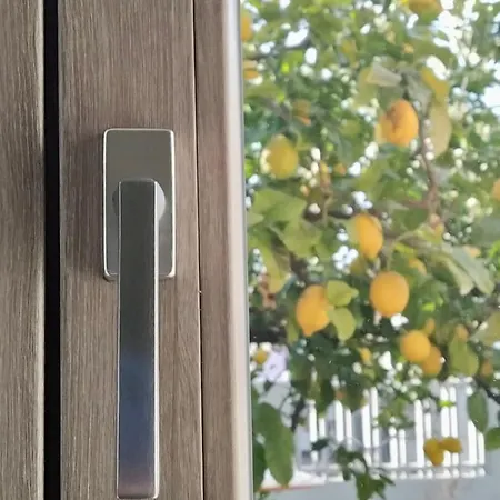 Joy - Iconic Heritage