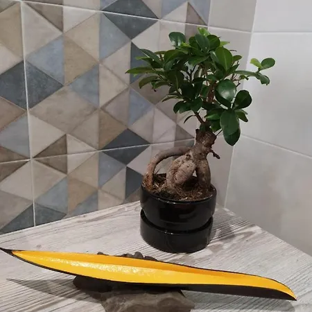 Joy - Iconic Heritage *