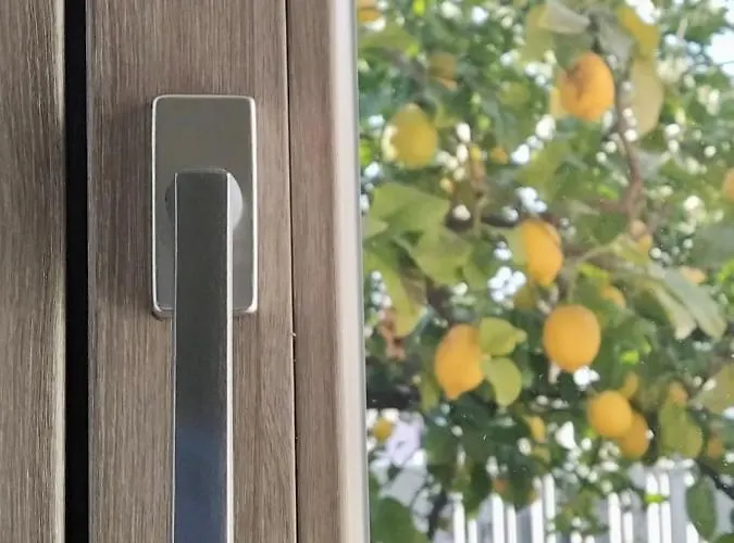 Joy - Iconic Heritage