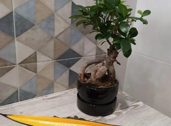 Joy - Iconic Heritage *