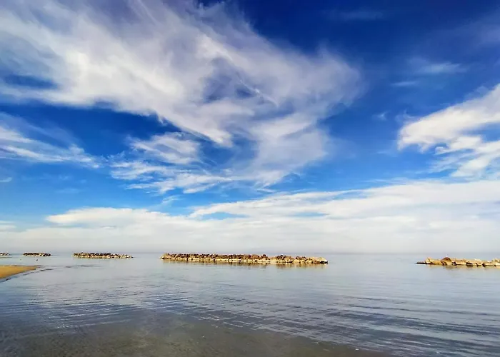 Joy - Iconic Heritage